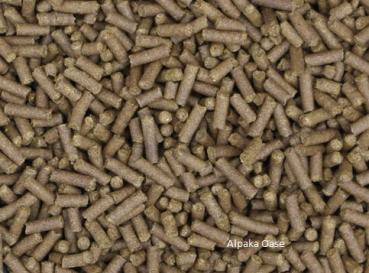 Hopfenblüten Pellets